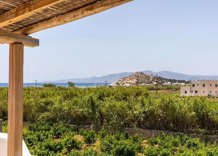 Oneiric Harmony 度假居 米科利维亚