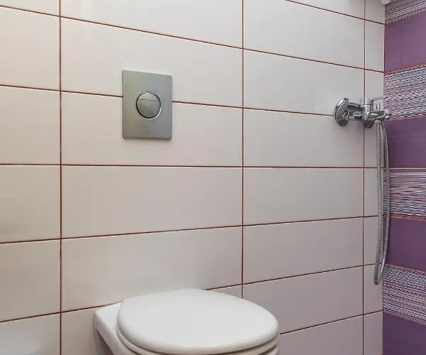 Oneiric Harmony 別荘 *